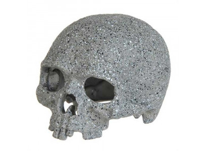 Декорация Prime (Прайм) Треснувший Череп L Pr-086241