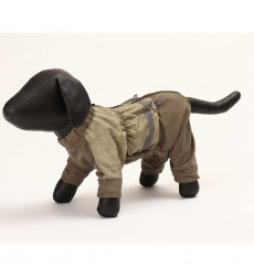 Комбинезон  Спорт, Бульдог Французский 37см, Кобель, 527737/3