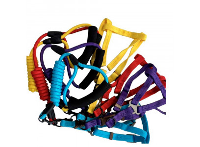 Шлейка+Поводок Pet Fashion (Пет Фешн) Комфорт 03 с Мягкой Ручкой 1,0см