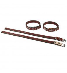 Ошейник Для Собак Средних Пород Brava (Брава) №30 39-56см Ш3см Брезентовый 2 Слоя Арт1047