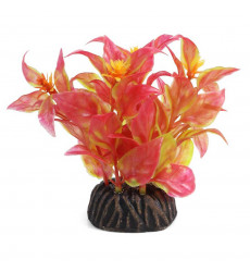 Растение Laguna (Лагуна) Альтернатера 80мм Красное 74044103