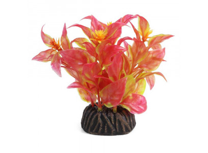 Растение Laguna (Лагуна) Альтернатера 80мм Красное 74044103