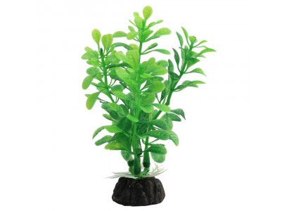 Растение Laguna (Лагуна) Альтернатера 100мм Зеленое 74044112