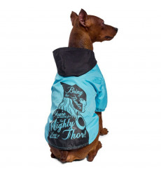 Дождевик-Попона Triol (Триол) Disney Marvel Top Xs Р 20см 12251153