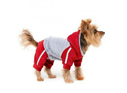 Костюм Спортивный Osso Fashion (ОСсо Фешн) Для Собак Мелких Пород Р 22 Чемпион Красный Серый Скч 1034