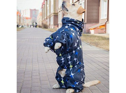 Комбинезон Osso Fashion (Оссо Фешн) Для Собак Средних Пород Р 45-1 Мембрана с Капюшоном Мальчик Звезды Ксм 1195 