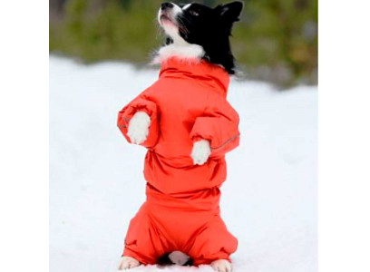 Комбинезон Osso Fashion (Оссо Фешн) Для Собак Утепленный Синтепоном Р 50-1 Девочка Мандарин Кбз 1031 