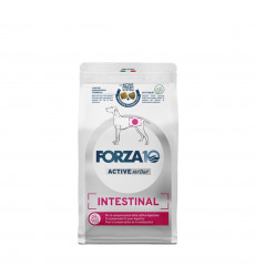 Сухой Корм Forza (Форза) 10 Dog Active Vet Diet Intestinal Для Собак При Заболеваниях ЖКТ 4кг 00558
