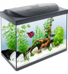 Аквариум Tetra (Тетра) Starter Line Led 80л Черный 61*51*32см 305632