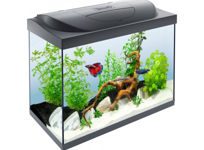 Аквариум Tetra (Тетра) Starter Line Led 80л Черный 61*51*32см 305632