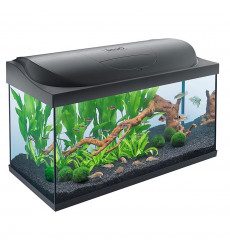 Аквариум Tetra Starter Line Led 105л Черный 75*40*36см 305656