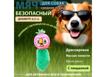 Игрушка Triol (Триол) Мяч Попугай 65/140мм Союзмультфильм 12141306 