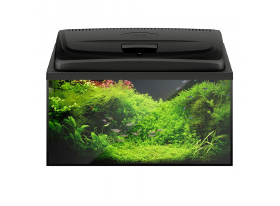 Аквариум Aquael (Акваэль) Aqua4 Start 60 D&N Прямой 54л 124272 