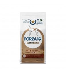 Сухой Корм Forza (Форза) 10 Dog Active Vet Diet Intestinal Colon Fase 2 Для Собак При Заболеваниях ЖКТ 4кг 04198