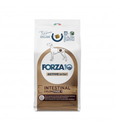 Сухой Корм Forza (Форза) 10 Dog Active Vet Diet Intestinal Colon Fase 1 Для Собак При Заболеваниях ЖКТ 4кг 04129