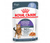 Влажный Корм Для Кошек Royal Canin (Ройял Канин) Appetitus Control Care Желе 85г 