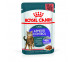 Влажный Корм Для Кошек Royal Canin (Ройал Канин) Appetitus Control Care 85г Соус 