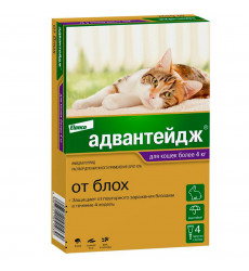 Адвантейдж Капли От Блох Для Кошек Более 4кг 0,8мл Упаковка 4 Пипетки(Чв)
