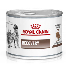 Лечебные Консервы Royal Canin (Роял Канин) Для Кошек и Собак При Анорексии и Выздоровлении Veterinary Diet Feline/Canine Recovery 195г