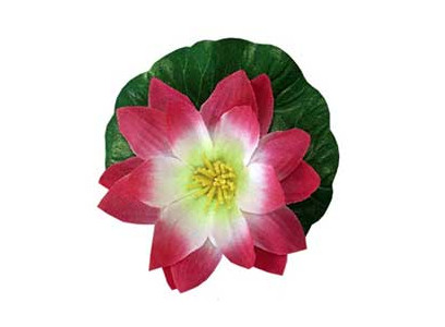 Растение Для Аквариума Triton (Тритон) Водяная Лилия 16см Т004 