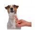 5.Kiltix-small-dog_treatment