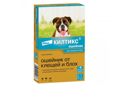 1.Kiltix-medium-dog_face
