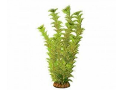 Растение Для Аквариума Triton (Тритон) Пластиковое 25см 2576 