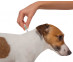 5.Advantix-dog-1,5-4-1pip_treatment