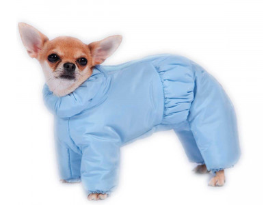 Комбинезон Для Собак Породы Той-Терьер Кобель Тузик Синтепон 