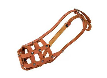 Намордник Для Собак Средних Пород Corex (Корэкс) 27см*8см №27-С 25027