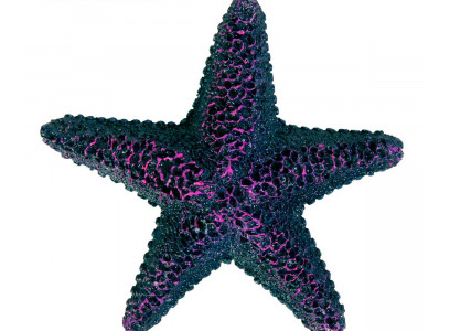 Аквадекор Для Аквариума Trixie (Трикси) Морская Звезда Пластик 9см Набор 12шт 8866 (1*12)  