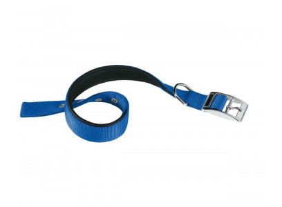Ошейник Для Собак Средних Пород Ferplast (Ферпласт) Daytona 25мм*37-45см С 25/45 Синий 