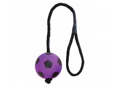 Игрушка Для Собак Trixie (Трикси) Мяч с Веревкой 6*30см 3459 
