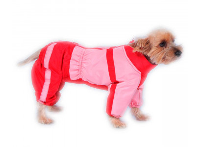 Комбинезон Для Собак Породы Американский Бульдог Женский Тузик Теплый  