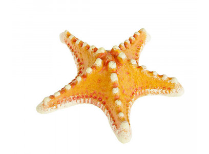 Аквадекор Для Аквариума Звезда Малая К-01 Гротаква