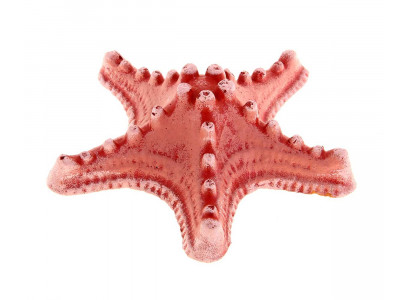 Аквадекор Для Аквариума Звезда Ольга К-07 Гротаква