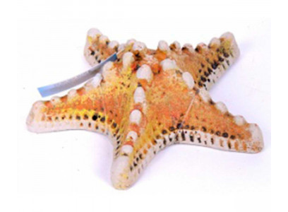 Аквадекор Для Аквариума Звезда Марина К-32 Гротаква 