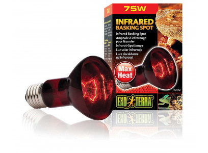 Лампа Для Террариума Hagen (Хаген) Heat-Glo Инфракрасная R20 75Вт Рт-2142
 