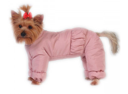 Комбинезон Для Собак Породы Мопс Кобель Тузик Синтепон 