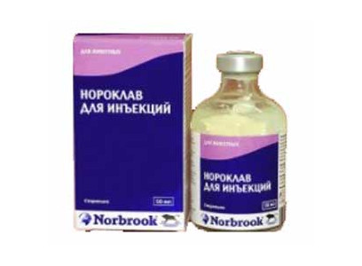 Нороклав 20мл Раствор для Инъекций  