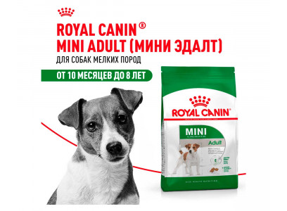 Сухой Корм Royal Canin (Роял Канин) Для Собак Мелких Пород Size Health Nutrition MINI Adult 800г 
