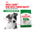 Сухой Корм Royal Canin (Роял Канин) Для Собак Мелких Пород Size Health Nutrition MINI Adult 800г 
