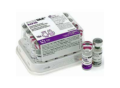 Пуревакс Purevax RCPCh Вакцина 2 флакона 1 доза Merial (1*10) 