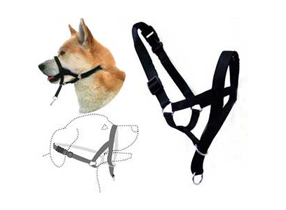 Намордник Для Собак Trixie (Трикси) XS Тренировочный 30-35см/15см 13001 