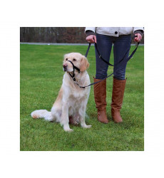 Намордник Для Собак Trixie (Трикси) L Тренировочный 50-57см/31см 13004