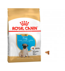 Сухой Корм Royal Canin (Роял Канин) Для Щенков Породы Мопс Breed Health Nutrition Pug Puppy 1,5кг 