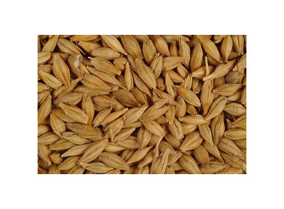 Овес Спринт  