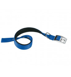 Ошейник Для Собак Средних и Крупных Пород Ferplast (Ферпласт) Daytona C40/63 4см*55-63см Синий