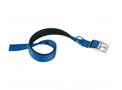 Ошейник Для Собак Средних и Крупных Пород Ferplast (Ферпласт) Daytona C40/63 4см*55-63см Синий