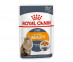 Влажный Корм Royal Canin (Роял Канин) Для Кошек Для Поддержания Красоты Шерсти Аппетитные Кусочки в Желе Feline Health Nutrition Intense Beauty Jelly 85г  